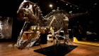 Pagan US$ 3,5 millones por un esqueleto de Allosaurus
