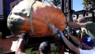 Calabaza gigante gana concurso en EE.UU.
