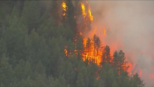 Evacuaciones en Colorado por el avance de los incendios