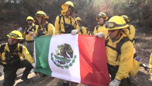 Así ayudaron bomberos mexicanos contra incendios en California