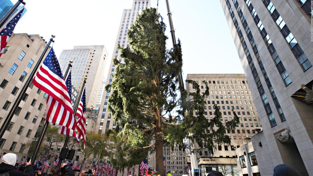 Llega A Nueva York El Arbol Gigante De Navidad Que Adorna El Rockefeller Center Video Cnn