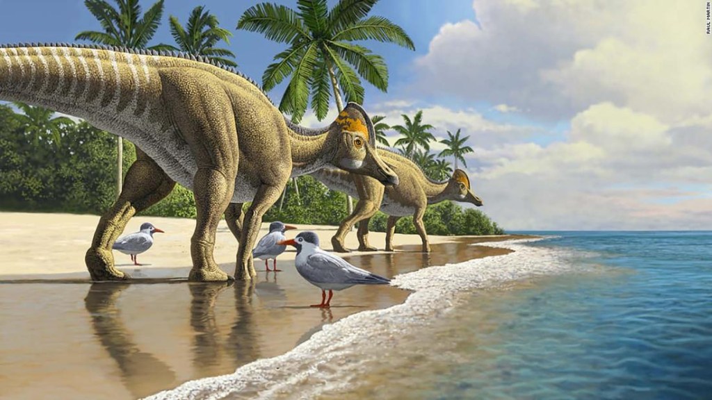 dinosaurios-viajaron-océanos