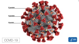 prueba-coronavirus-células-t-anticuerpos