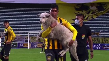 Un perro protagoniza juego del fútbol boliviano
