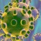 variante coronavirus