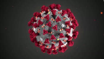 variante coronavirus