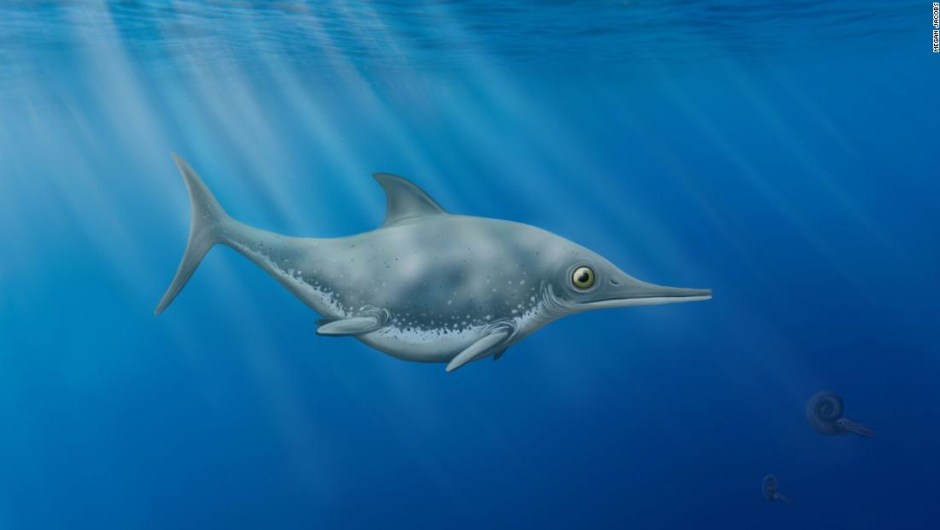 Nueva especie de 'dragón marino' descubierta por un cazador de fósiles aficionado frente a la costa inglesa