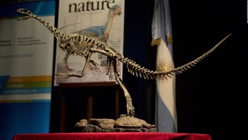 Un fósil revela cómo se apareaban los dinosaurios