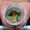 ¿Ayudaría la marihuana en el tratamiento del covid-19?