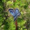 Biólogos revelan cómo vuelan las mariposas