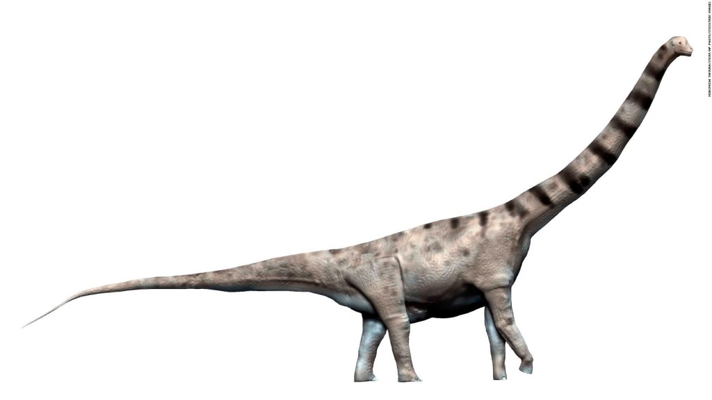 Hallan en Argentina fósiles de un dinosaurio gigante