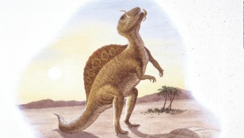 Descubre quién fue el espinosaurio