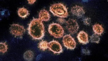 ¿Cuándo estará controlada la pandemia de covid-19?