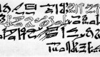 La colchicina se usa desde los tiempos del papiro egipcio