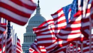Banderas de EE.UU. en representación de quienes no pudieron asistir a la toma de posesión debido al covid-19 en el Mall. Crédito: ROBERTO SCHMIDT/Getty Images.