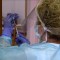 Se retrasa vacunación contra el covid-19 en España