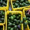 México duplicó su venta de aguacate para el Super Bowl pese al covid-19