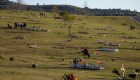 El cementerio más grande de EE.UU. refrigera cuerpos