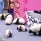Los pandas que se adelantan a la primavera en China