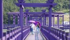 Isla púrpura en Corea del Sur atrae turistas