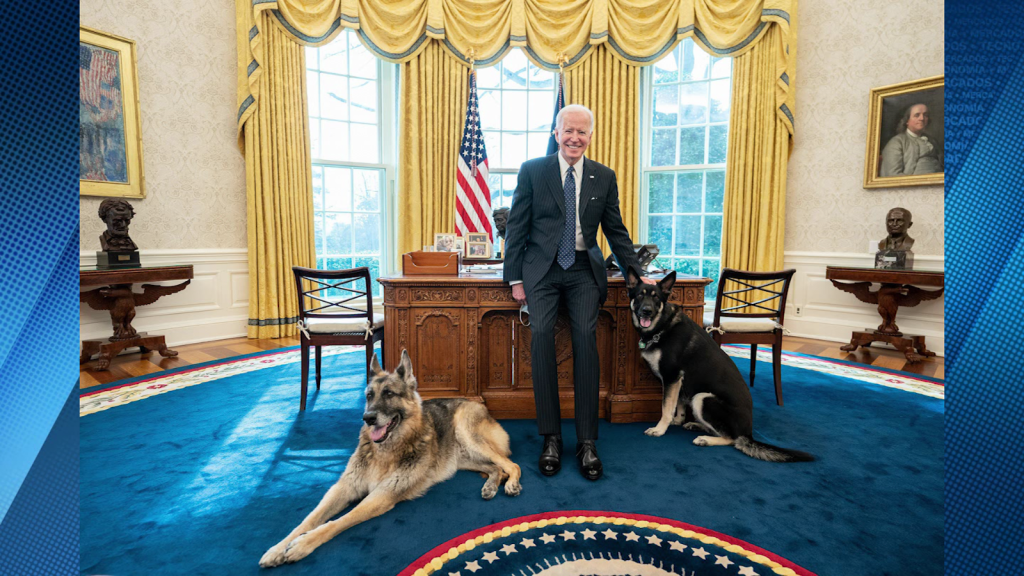 Biden: Mis perros tienen acceso privilegiado a la oficina oval