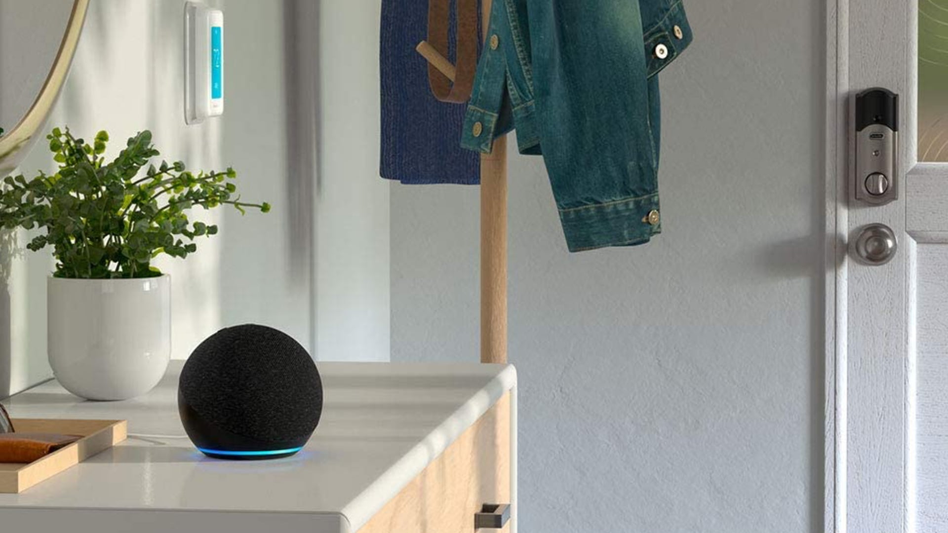 Echo discount dot comprar