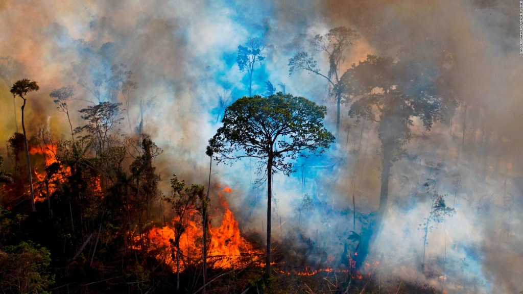 Inédito: el Amazonas emite más gases de los que absorbe