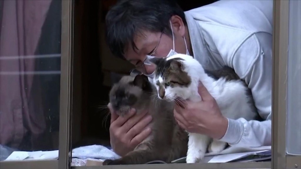 Fukushima's cat caretaker