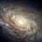 Científicas argentinas descubren más de 5.000 galaxias