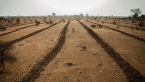 El desierto de Sahara no para de crecer