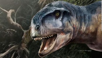 Identifican a un impresionante dinosaurio en Argentina