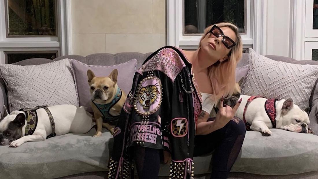 Lady Gaga’s roommate is facing an attack that ends with a mascot robe