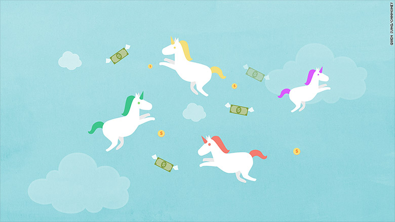 What are unicorn companies?
