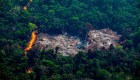 Reducir la tala ilegal en el Amazonas es poco probable