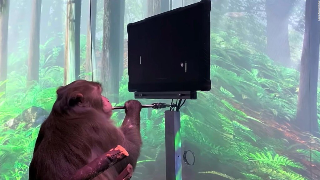 Neuralink afirma que monos pueden jugar por telepatía