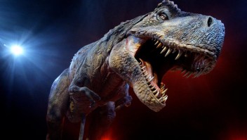 T. rex no era tan rápido como se creía, dice estudio