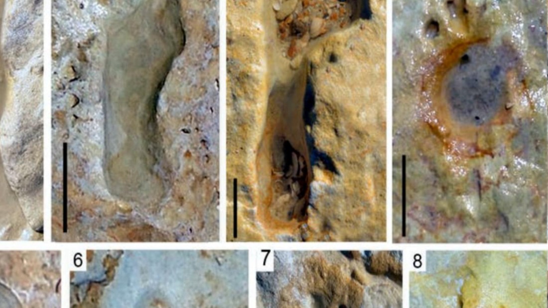 Encuentran huellas de niños neandertales en España