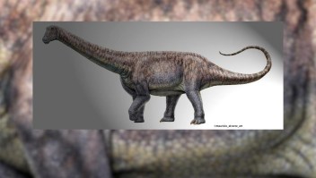 Conoce la nueva especie de dinosaurio hallado en Chile
