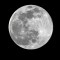 Agencia Espacial del Reino Unido busca "árboles lunares"