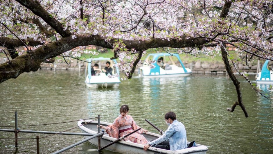 Cerezos en flor Japón