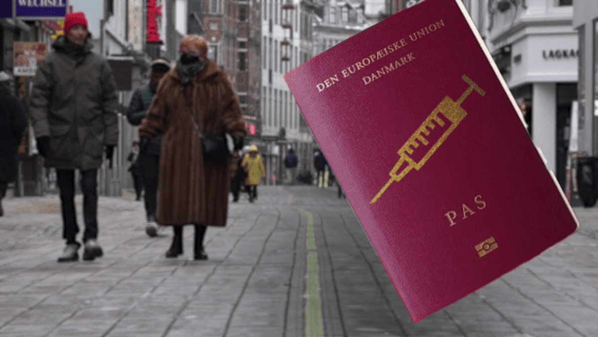 Pasaporte De Covid Para Poder Viajar Buena O Mala Idea