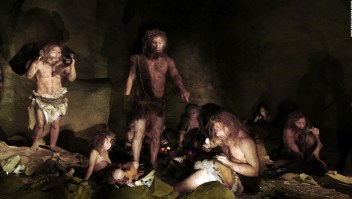 ADN neandertal revela cómo era la vida prehistórica