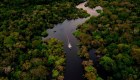 Crece la deforestación de la Amazonia en Brasil un 43%