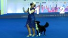 Perros brillan en competencia de baile rusa