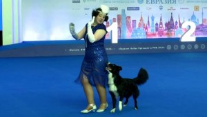 Perros brillan en competencia de baile rusa
