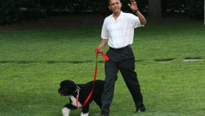 Así recordaron los Obama a Bo, su perro fallecido