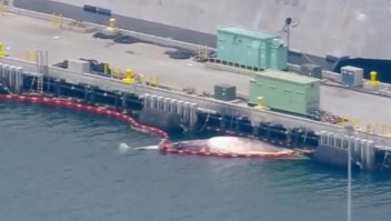 Atraca en California destructor con 2 ballenas muertas