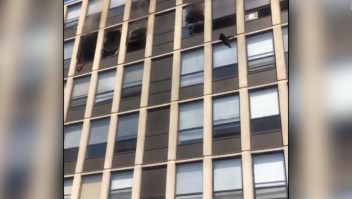 Gato se lanza del quinto piso de edificio en llamas