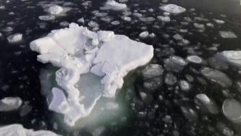 ¿Cómo podría afectar al mundo el deshielo en Antártida?