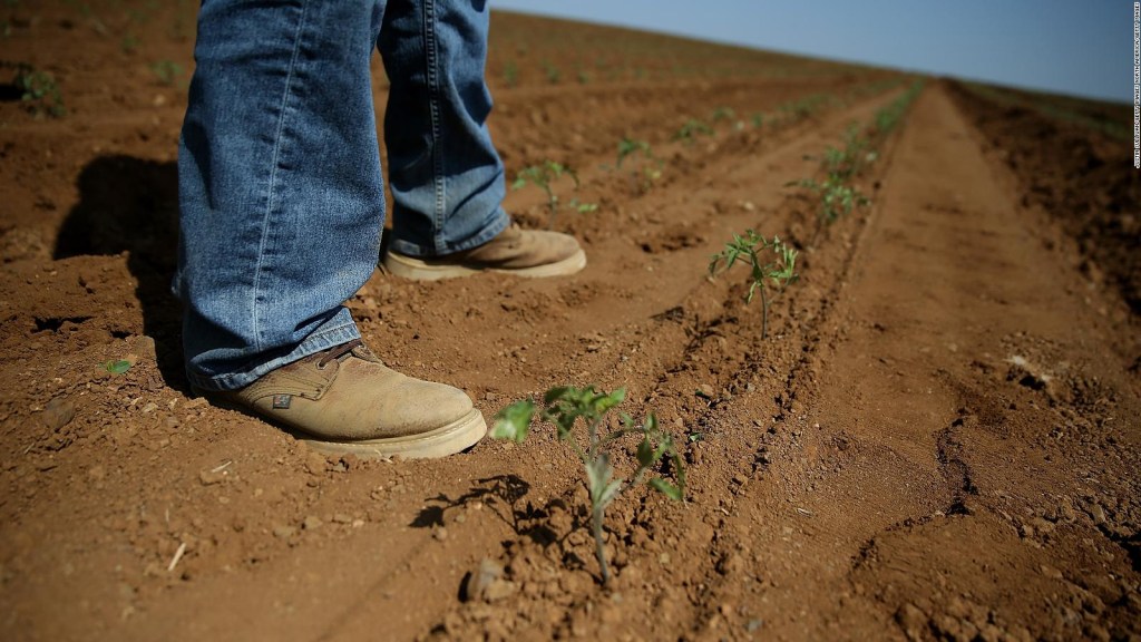 La sequía asfixia a agricultores en California